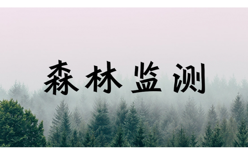 2022年森林监测结果摘要